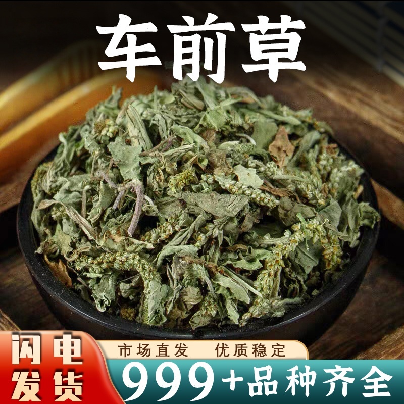 车前草中药材批发新干货正品非野生车前草干中草药泡水喝茶