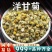 洋甘菊中药材批发气味清香优质新货安国中药材批发