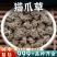 猫爪草中药材新鲜猫爪草正品水洗新货大粒安国中药材批发
