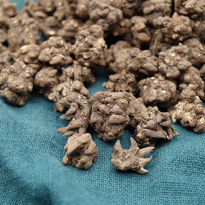 猫爪草中药材新鲜猫爪草正品水洗新货大粒安国中药材批发