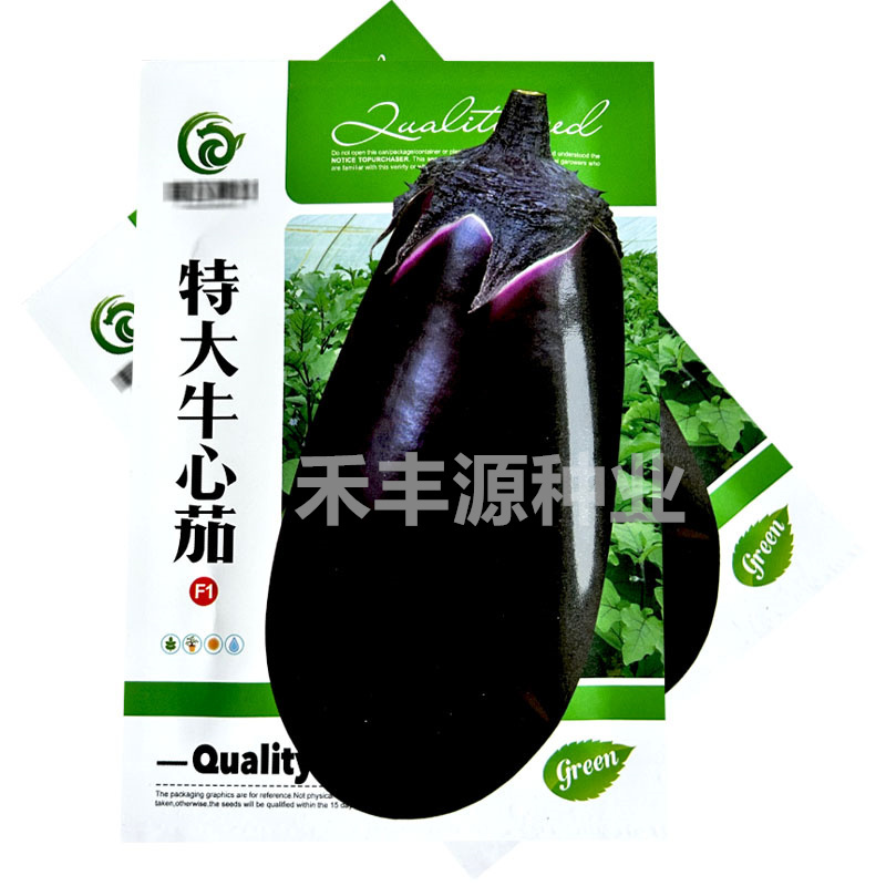 特大牛心茄种子大果牛心茄油亮高产抗病大紫罐茄