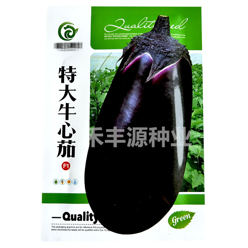 特大牛心茄种子大果牛心茄油亮高产抗病大紫罐茄