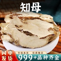 知母中药材知母片新鲜知母根干货非野生安国中草药批发