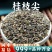 桂枝尖桂枝中药材颗粒香料桂支广西非去皮新货安国中药材批发