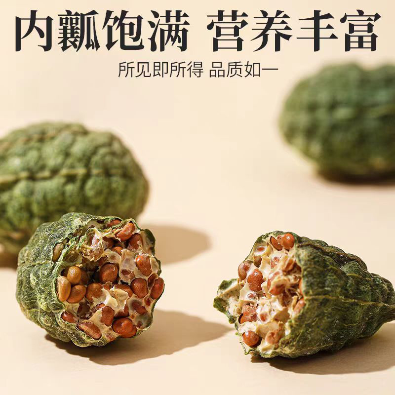 新疆特产野西瓜中药材野生小西瓜泡酒腰腿关节新疆野西瓜批发