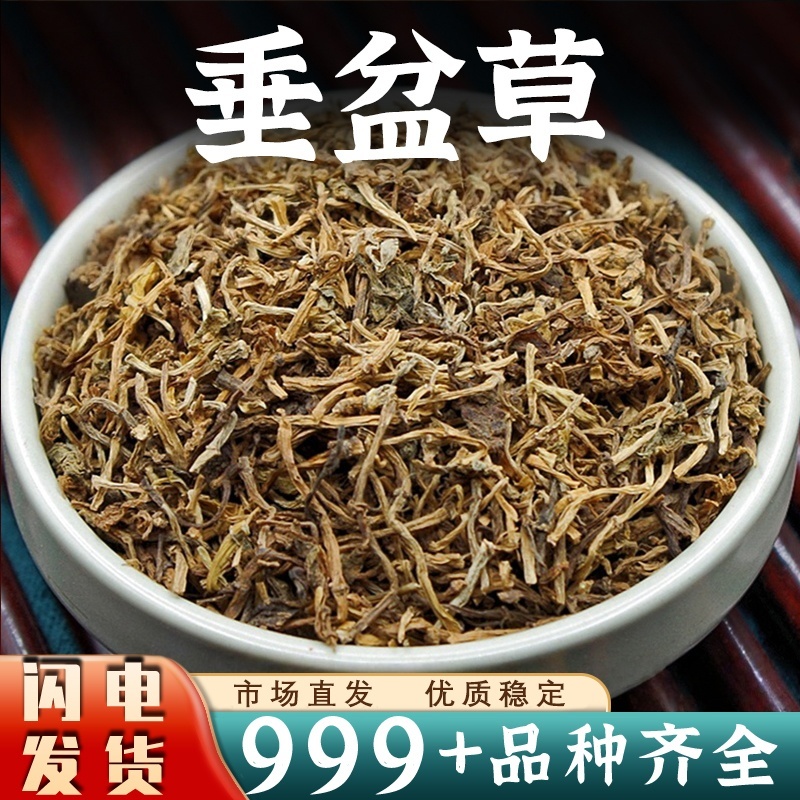 垂盆草中药材批发垂盆草泡水茶干货安国中药材正品