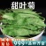 甜叶菊代糖低糖甜味苷叶花茶花草茶泡水正品新货甜叶菊茶批发