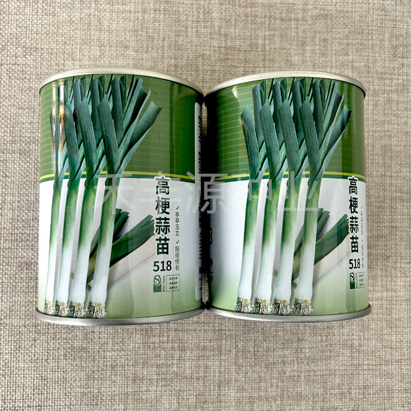 高梗蒜苗种子518花旗韭葱种青蒜苗种子蒜苔种基地品
