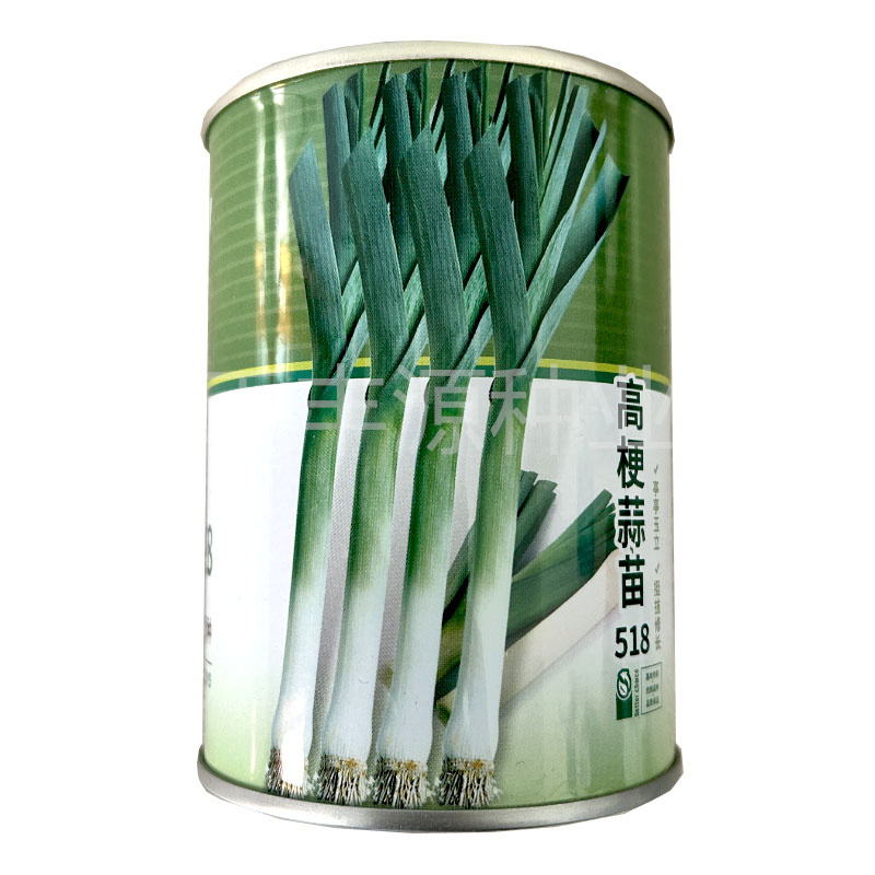 高梗蒜苗种子518花旗韭葱种青蒜苗种子蒜苔种基地品