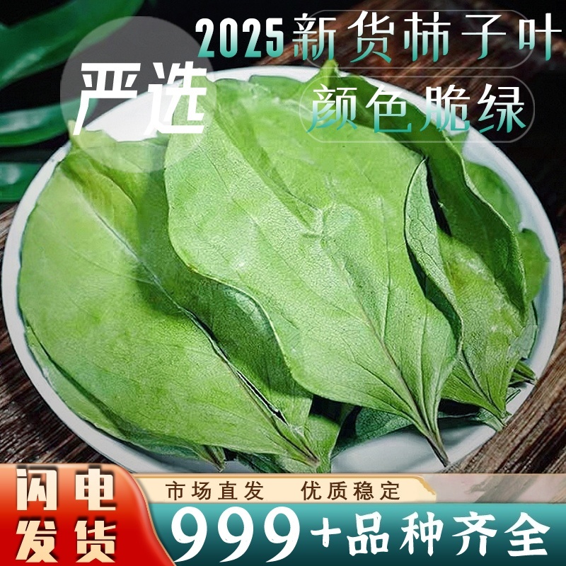 新货柿子叶中药材柿子叶茶新鲜干货大片颜色绿安国中药材批发
