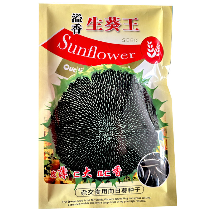 食用向葵花籽种子皮薄仁大瓜仁香100g结实率高