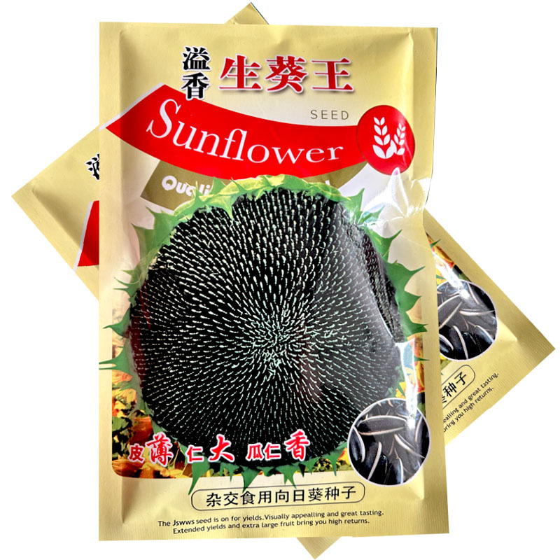 食用向葵花籽种子皮薄仁大瓜仁香100g结实率高