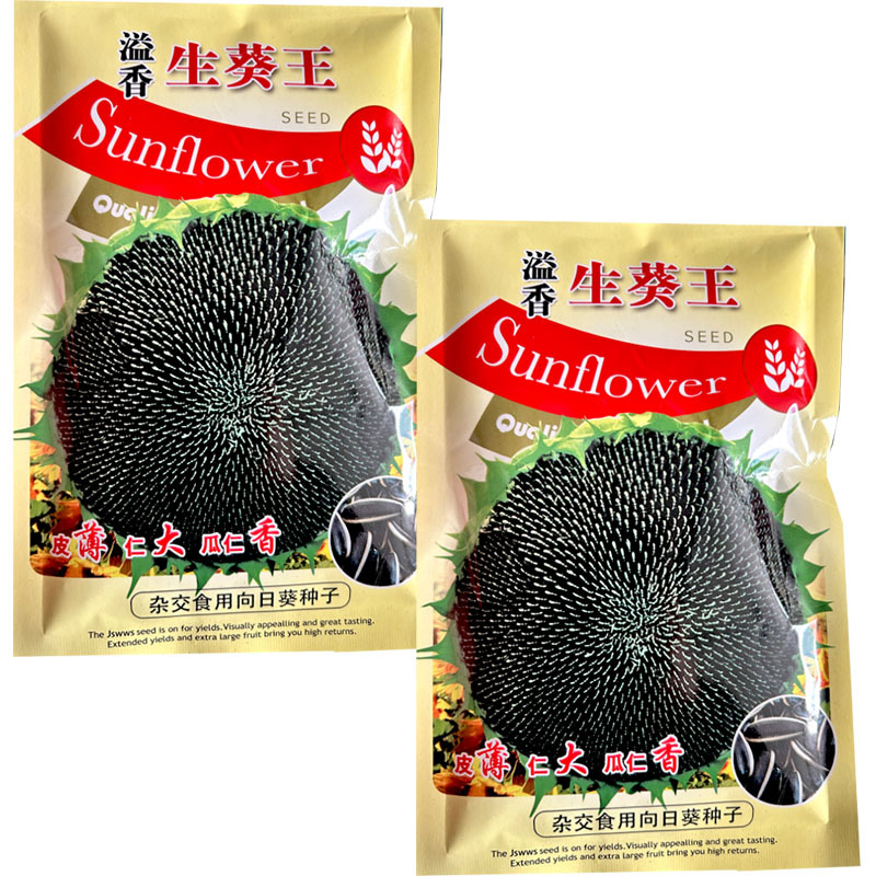 食用向葵花籽种子皮薄仁大瓜仁香100g结实率高