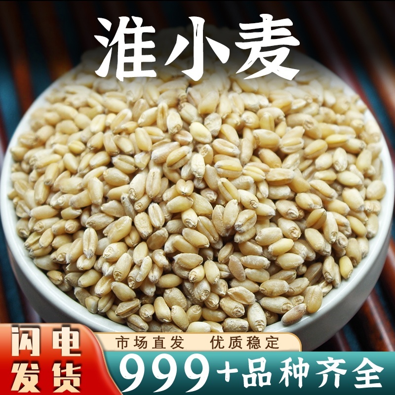 淮小麦中药材批发新鲜去皮麦子精选饱满小麦颗粒批发干货
