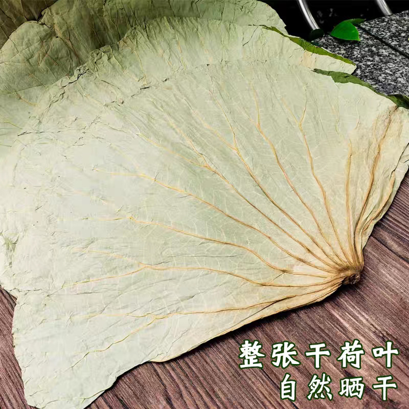荷叶整张干净天然干荷叶清香叫花鸡糯米鸡荷叶荷叶片严选批发