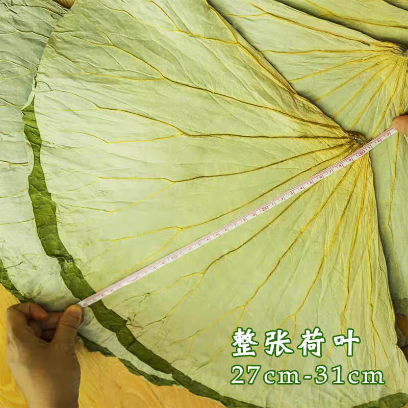 荷叶整张干净天然干荷叶清香叫花鸡糯米鸡荷叶荷叶片严选批发