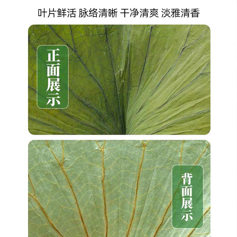 荷叶整张干净天然干荷叶清香叫花鸡糯米鸡荷叶荷叶片严选批发
