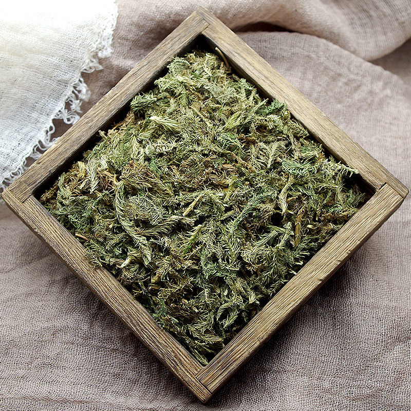 伸筋草中药材安国批发舒筋草非野生伸筋草非小伸筋草