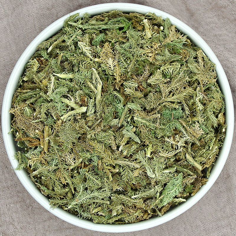 伸筋草中药材安国批发舒筋草非野生伸筋草非小伸筋草