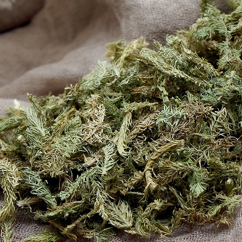 伸筋草中药材安国批发舒筋草非野生伸筋草非小伸筋草