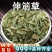 伸筋草中药材安国批发舒筋草非野生伸筋草非小伸筋草