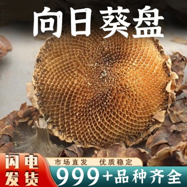 向日葵盘中药材批发向日葵盘安国中药材批发泡水