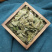 桑叶中药材批发霜后冬桑叶安国中药材桑叶泡水
