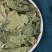 桑叶中药材批发霜后冬桑叶安国中药材桑叶泡水