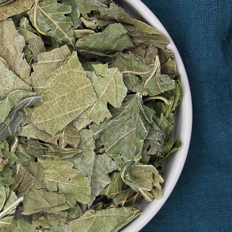 桑叶中药材批发霜后冬桑叶安国中药材桑叶泡水