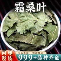 桑叶中药材批发霜后冬桑叶安国中药材桑叶泡水