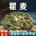瞿麦中药材正品瞿麦茶瞿麦泡水翟麦巨麦安国中药材批发