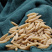 农家麦冬中药材批发正品四川麦东泡水新鲜干货非粉野生