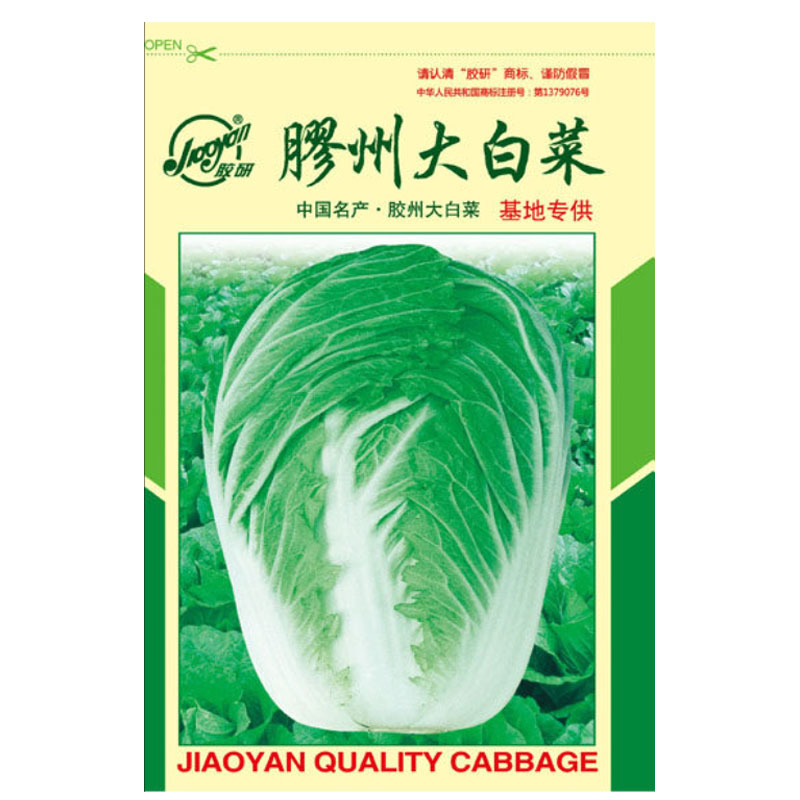 胶研胶州大白菜大白菜种子老品牌基地正宗好吃好卖