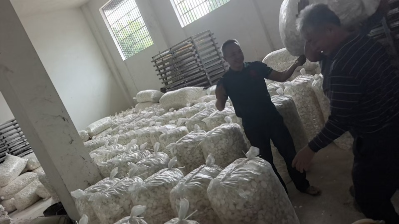 广西山药干，厂家直发，一手货源量大优惠，欢迎合作