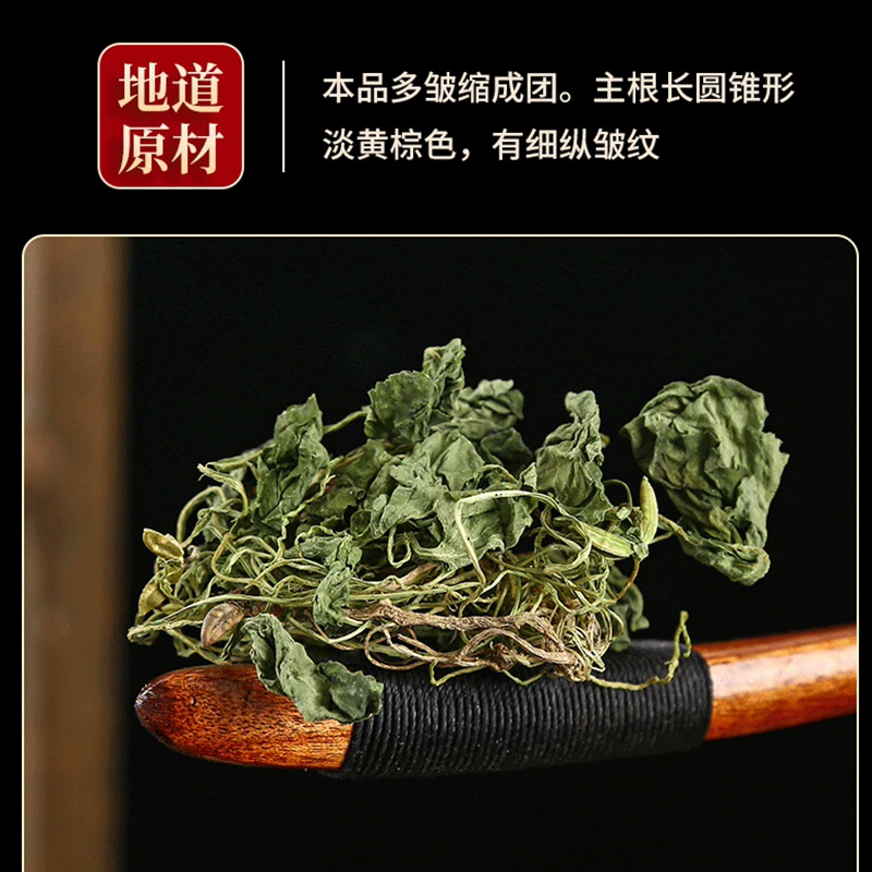 紫花地丁中药材安国批发新鲜紫花地丁草紫花地丁中草药干货