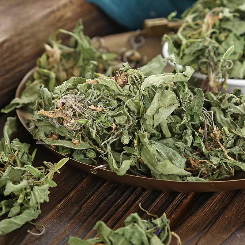紫花地丁中药材安国批发新鲜紫花地丁草紫花地丁中草药干货