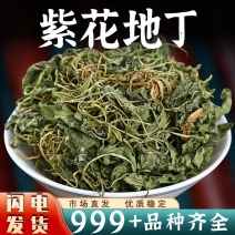紫花地丁中药材安国批发新鲜紫花地丁草紫花地丁中草药干货