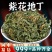 紫花地丁中药材安国批发新鲜紫花地丁草紫花地丁中草药干货