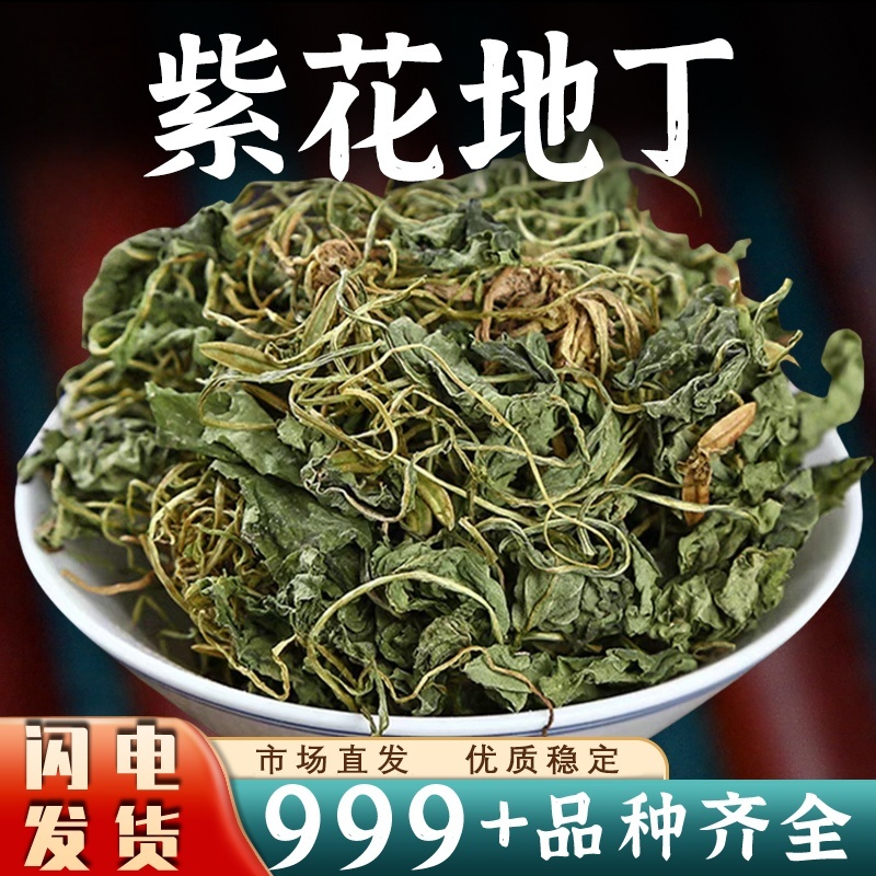 紫花地丁中药材安国批发新鲜紫花地丁草紫花地丁中草药干货
