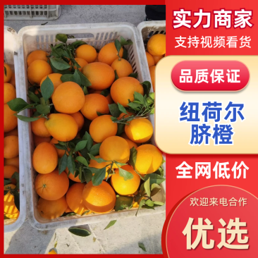 【推荐】秭归纽荷尔脐橙橙子果园直采个大皮薄