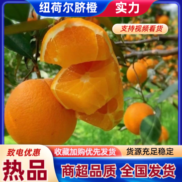 【精选】纽荷尔脐橙湖北秭归橙子量大价优新鲜多汁