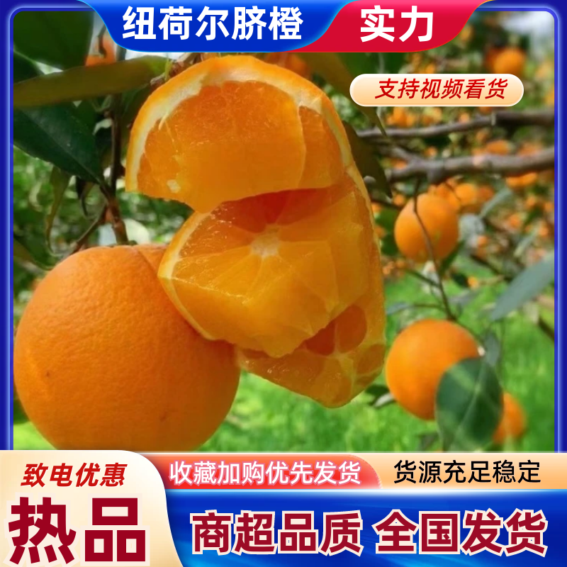 【精选】纽荷尔脐橙湖北秭归橙子量大价优新鲜多汁