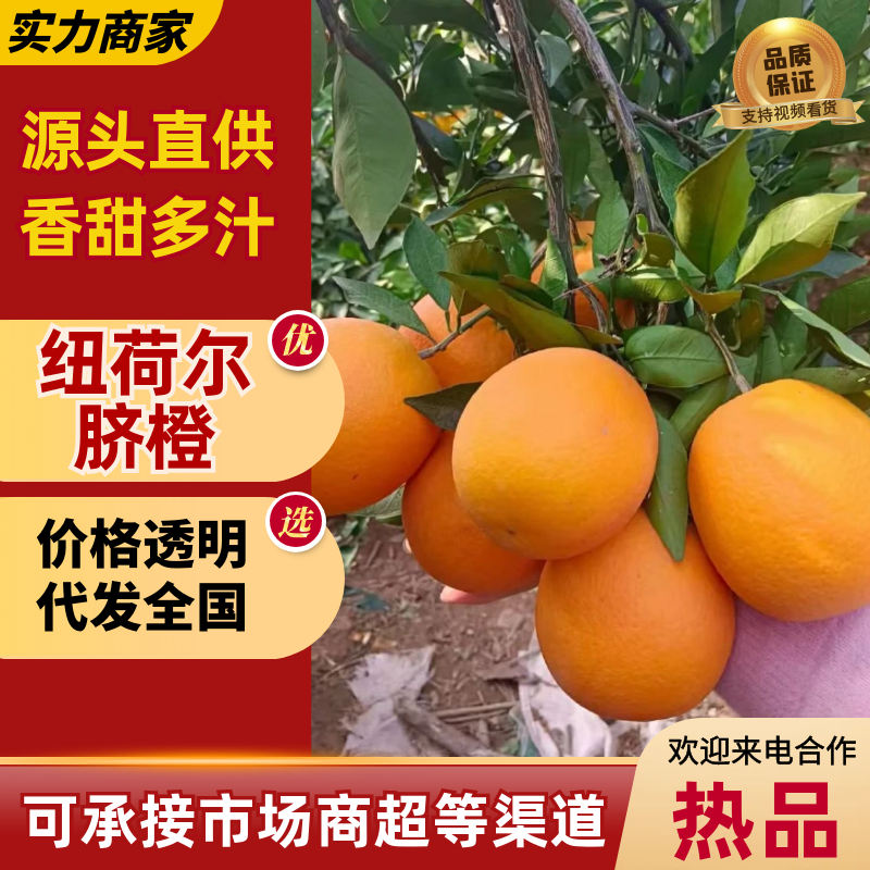 【超多人好评】纽荷尔脐橙湖北橙子现摘现发保质保量