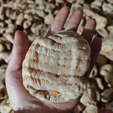 贵州天麻干湿货大量现货供应，规格齐全品质保证代发全国