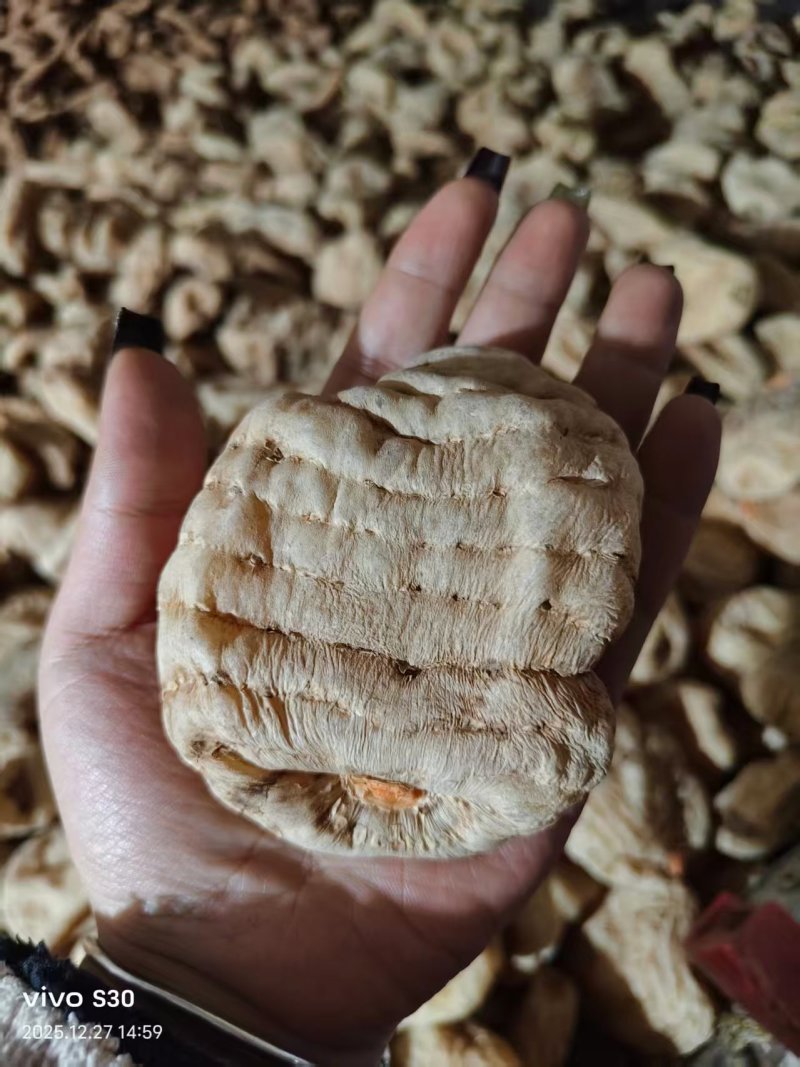贵州天麻干湿货大量现货供应，规格齐全品质保证代发全国