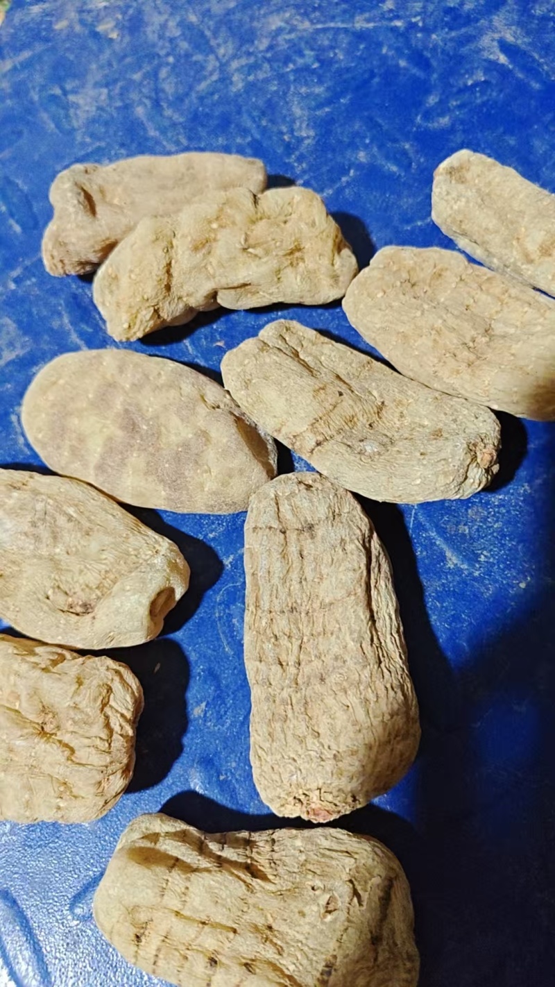 贵州天麻干湿货大量现货供应，规格齐全品质保证代发全国