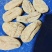 贵州天麻干湿货大量现货供应，规格齐全品质保证代发全国
