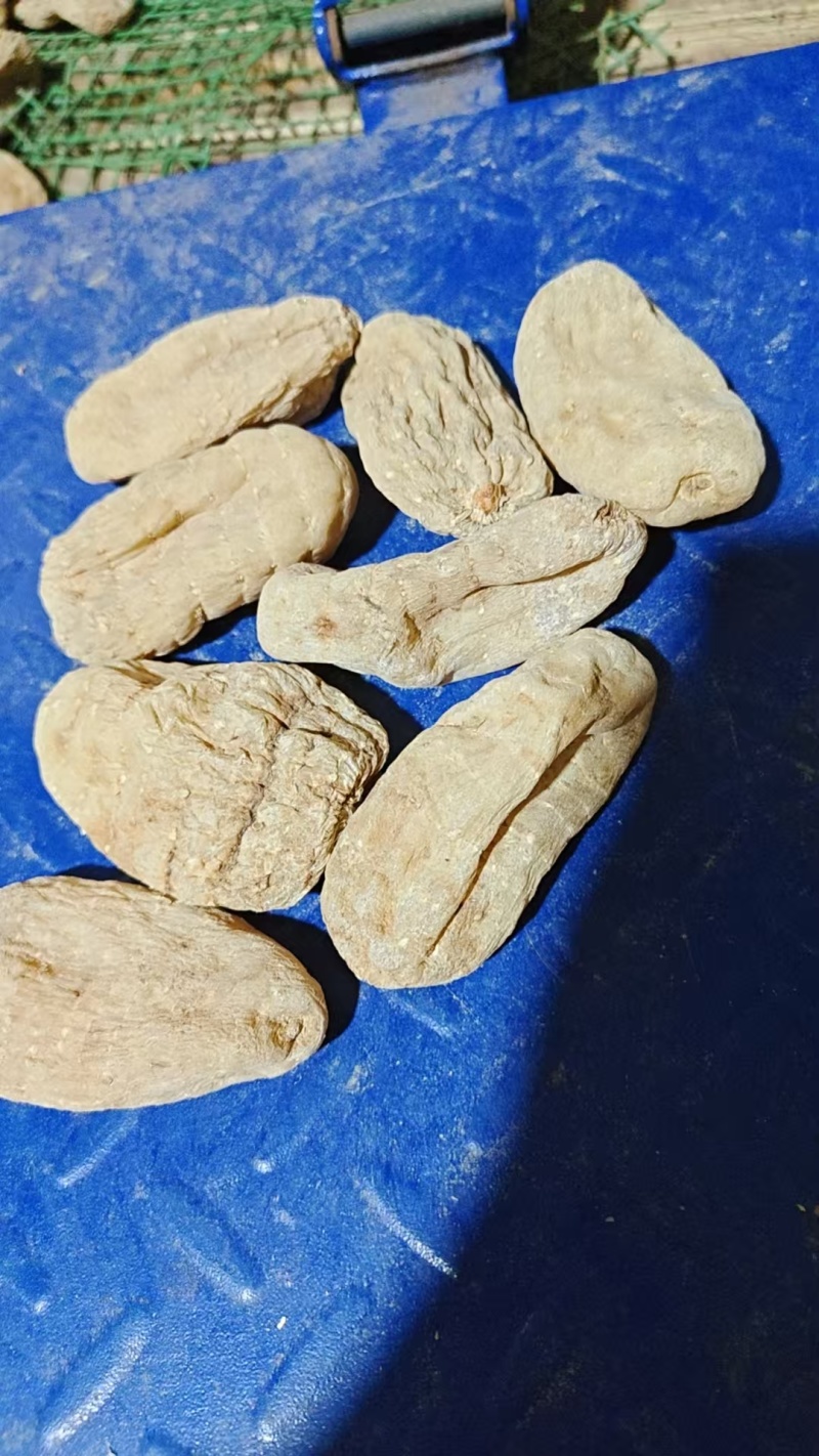 天麻供应（量大价优）规格齐全保质保量，可视频看货