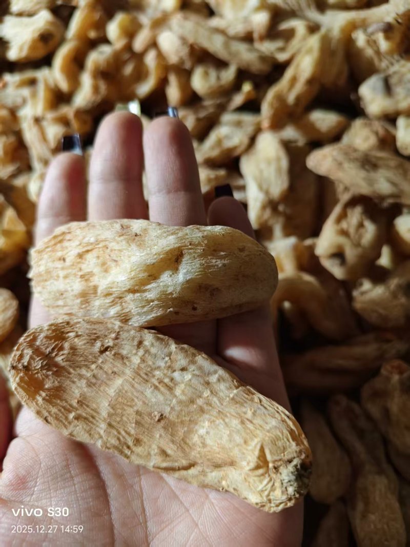 天麻供应（量大价优）规格齐全保质保量，可视频看货