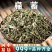 扁蓄中药材批发萹蓄扁蓄草萹蓄草扁竹新鲜干货泡水安国中药材